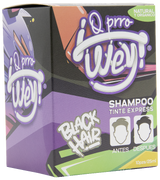 Shampoo Tinte Express - Negro