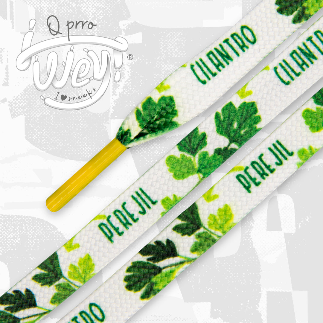 CILANTRO Y PEREJIL